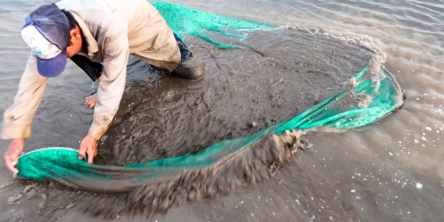 anh-bat-ngheu-giong-bang-ban-cao